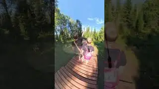 Гора Манжерок на Алтае #insta360 #shortvideo #shorts #short
