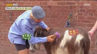 [HahaLand]하하랜드ep.03-The chair of a donkey teacher Ben! 벤 선생님의 당나귀 강좌!20170615