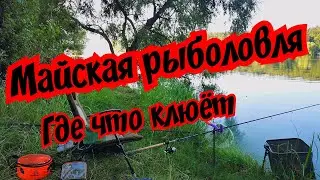 Рыбалка в мае. Кого, на что и как ловить.