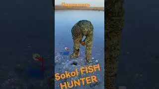Крупная щука на флажки