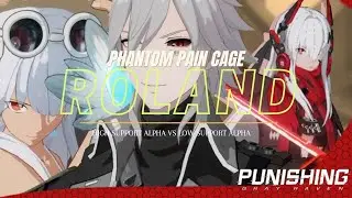 HIGH SUPPORT ALPHA VS LOW SUPPORT ALPHA - Punishing: Gray Raven