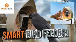 PeckPerk Smart Bird Feeder with AI Camera Review