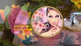 Елена Соболева и Пётр Лысенко   ТЫ ЖЕНАТ, А Я ЗАМУЖЕМ!