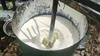Дуғкашак