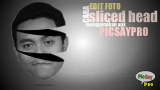 How to edit a sliced head photo using picsaypro