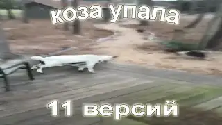 КОЗА УПАЛА
