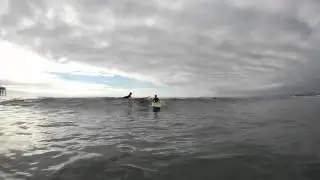 ess surf trailer