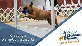 Creating an Obedience Warm-up that Works!