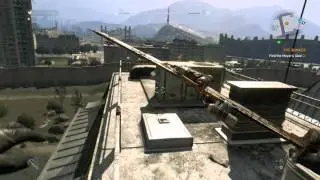 Dying Light - Zombie Flag