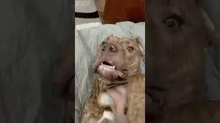 Кайф да?