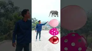 hathi UT gora funny vfx video new #2024 magic jabardast #shortsfeed #shorts #youtubeshorts #viral