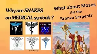Why are Snakes on Medical Symbols?