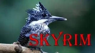 Skyrim Mod: skyBirds - Airborne Perching Birds (HD)