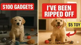 I Spent $500 on Dog Toys. ONLY $5 ONES WORKED (Budget Winners 2025)