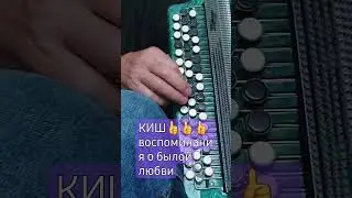 #shortc#КИШ