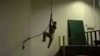 urban ninja