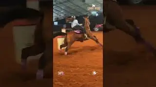 Sumaré Arena Music 2023 #cavalos #animais #rodeios #rodeiosumare #cavalo  #sumare