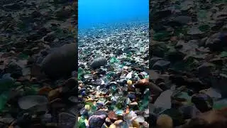 Vladivostok. Glass bay. 2023.