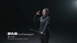 Referee gesture and password