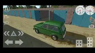 Василий приехал в деревню