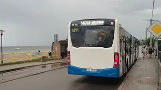 Mercedes-Benz O530 C2 #6291 [🚍146] PKS Gdynia