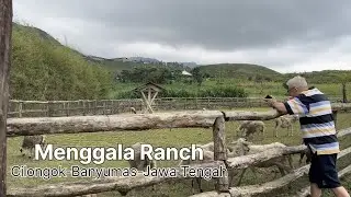 Menggala Ranch Cilongok Banyumas