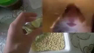 Хомяк проспидранил доширак