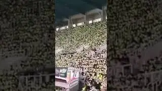 the power dreamies hold at dream concert 2022 #sijeuni #dreams #nctzen #nctdream #kpopidol