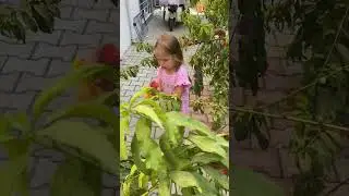 Плюсы и минусы квартиры на 1 этаже в Турции 