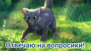 Аск! Отвечаю на вопросы.