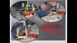 Easy restoration of Parrot Toy