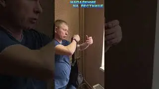 Правильная реакция| Нападение на лестнице| Михаил Стёпырев| НЕВОД  