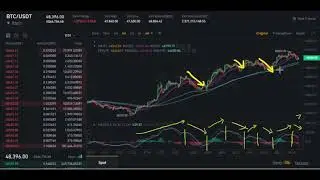 Bitcoin to $100,000 🤘 & Possible Swing Trading Pattern