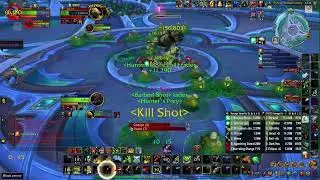 Hunter solo - Durendil vs Amirdrassil Heroic (8/9)