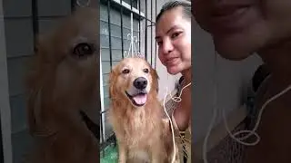 Ang Best Friend Ng Lahat Si Buddy.