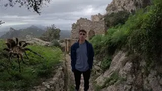 Кипр. Кантара. Контактный зоопарк. Замена термопасты.