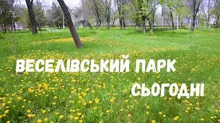 Парк смт. Веселе. Весна - 2021 (зйомка - Р. Ткаченко)