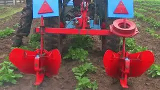 Первое окучивание картофеля мотоблоком с адаптером после ручной посадки  2024