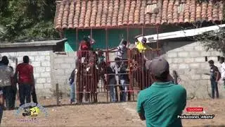 Carreras de Caballos 6