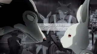 i don't belong to anyone else ♡ | legosi & haru [beastars]