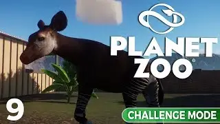Planet Zoo - Challenge Mode: Episode 9 | BONGO! BONGO!