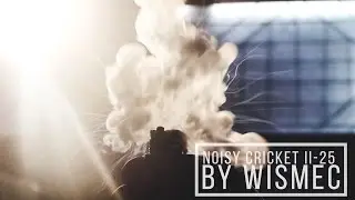 Noisy Cricket II-25 by Wismec | Нойзик В2 ( мехмод с платой? )