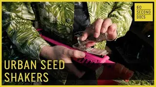 Urban Seed Shakers Phoenix & Shalaco