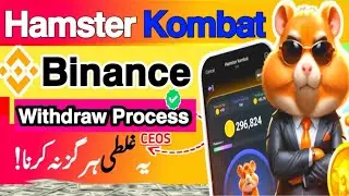 𝗛𝗮𝗺𝘀𝘁𝗲𝗿 𝗞𝗼𝗺𝗯𝗮𝘁 𝗪𝗶𝘁𝗵𝗱𝗿𝗮𝘄𝗮𝗹 𝗜𝗻 𝗕𝗶𝗻𝗮𝗻𝗰𝗲| 𝗢𝗞𝗫| 𝗕𝘆𝗯𝗶𝘁 | 𝗛𝗮𝗺𝘀𝘁𝗲𝗿 𝗞𝗼𝗺𝗯𝗮𝘁 𝗪𝗶𝘁𝗵𝗱𝗿𝗮𝘄𝗮𝗹 𝗞𝗮𝗶𝘀𝗲 𝗞𝗮𝗿𝗲