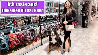 Shopping mit Hund 😍 Urlaub Vorbereitungen mit großem Hund! Einkaufen Haul Zoohandlung Mamiseelen