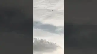 Полёт так полёт.