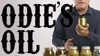 What Is Odie's Oil? Exploring Benefits and Features