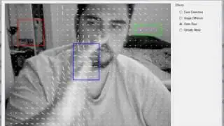 optic flow test