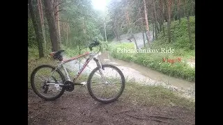 Vlog#8.Съездил в Гилевскую рощу.Купил экшн камеру.Помыл Stern