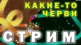 играть в змейку онлайн dominator 2024 проходи квест зарабатывай usdt